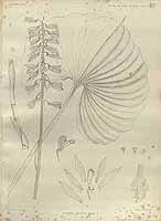  no thumbnail available