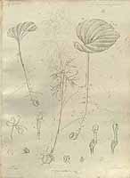  no thumbnail available