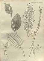  no thumbnail available