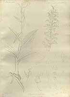  no thumbnail available