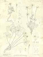  no thumbnail available