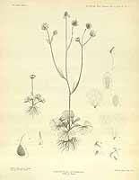  no thumbnail available