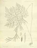  no thumbnail available