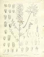  no thumbnail available