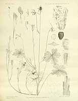  no thumbnail available