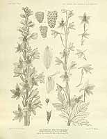  no thumbnail available