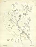  no thumbnail available