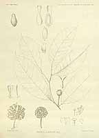  no thumbnail available