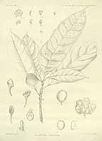  no thumbnail available