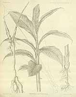  no thumbnail available