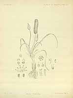  no thumbnail available