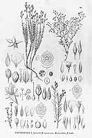  no thumbnail available