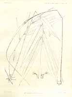  no thumbnail available