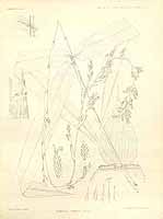  no thumbnail available