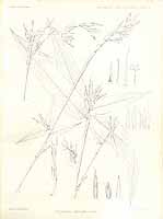  no thumbnail available