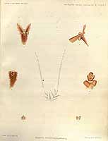  no thumbnail available