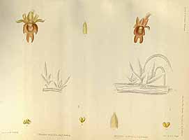  no thumbnail available