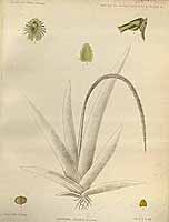  no thumbnail available