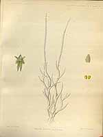  no thumbnail available