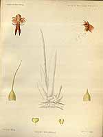  no thumbnail available