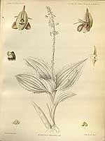  no thumbnail available