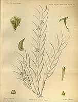  no thumbnail available