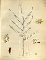  no thumbnail available