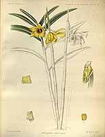  no thumbnail available