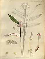  no thumbnail available