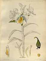  no thumbnail available