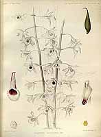  no thumbnail available