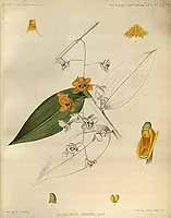  no thumbnail available