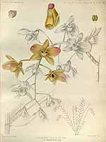  no thumbnail available