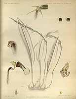  no thumbnail available