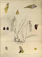  no thumbnail available