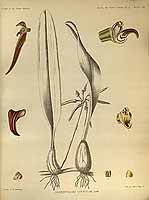  no thumbnail available