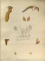  no thumbnail available