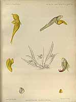  no thumbnail available