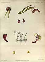  no thumbnail available