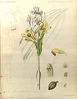  no thumbnail available