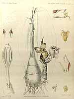  no thumbnail available