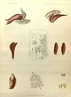  no thumbnail available