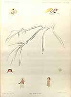  no thumbnail available