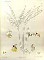  no thumbnail available