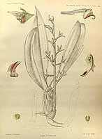  no thumbnail available