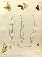  no thumbnail available