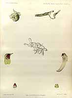  no thumbnail available