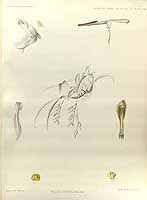  no thumbnail available