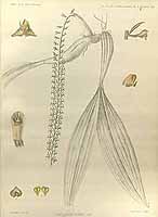  no thumbnail available