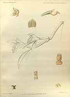  no thumbnail available